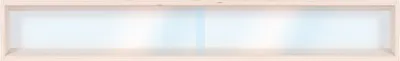 Produktbild von V110.1 Sammlervitrine Holz / 110 cm x 11 cm x 8,5 cm 1 Fach