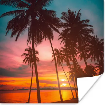 Produktbild von MuchoWow® Poster Meer - Palme - Sonnenuntergang - Strand - Silhouette 100x100 cm - Babyzimmer