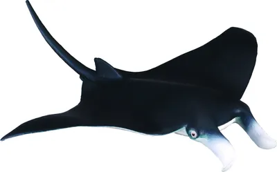 Produktbild von Collecta Zeedieren (M): MANTA ROG 15x14.5x2.2cm