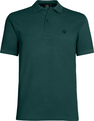 Produktbild von Übergrößen Basic-Poloshirt AHORN SPORTSWEAR bottle green 5XL