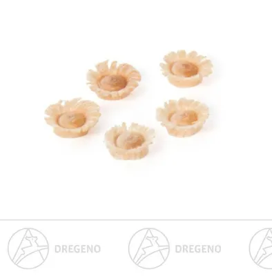 Produktbild von Ersatzteile & Bastelbedarf Blume Nr. 1 100 Stück Breite x Tiefe ca 0,5 cmx0,5 cm NEU