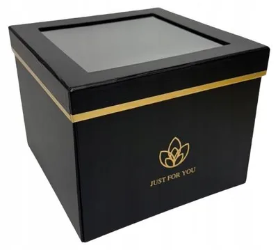 Produktbild von Vipolimex Blumenkasten Box Quadratisch mit Sichtfenster Schwarz