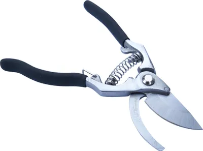 Image de J.A.D. TOOLS sécateur de jardinage pour fruits 216 mm