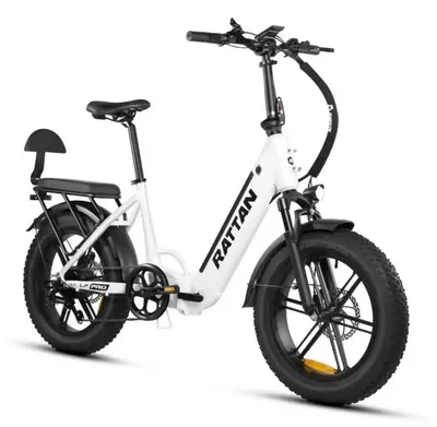 Immagine prodotto di Bicicletta elettrica LF PRO - E-bike fat bike per adulti - Motore brushless da 250 W - Batteria al litio da 48 V e 18 Ah - Pneumatici da fuoristrada larghi 50 cm - Autonomia 31–60 km - A due posti - Bianca