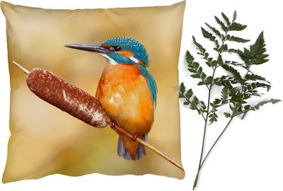 Produktbild von MuchoWow® Zierkissen Sofakissen Wohnzimmer Dekokissen 45x45 cm Eisvogel - Natur - Vogel - Schlafpolster - Polster für das Sofa