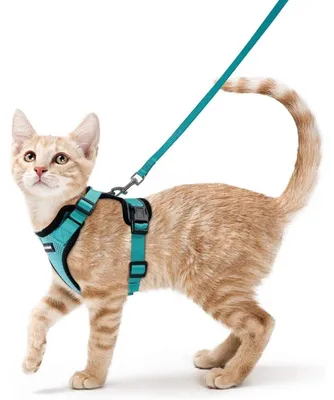 Productafbeelding van Kattenhalsband met riem, ontsnappingsbestendig, verstelbaar, ademend, groen, maat S