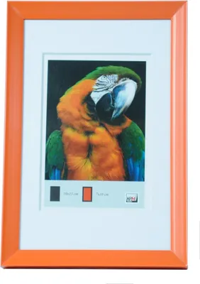 Produktbild von Fotorahmen aus Kunststoff FLASH Style 30x40 orange