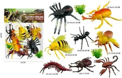 Image de Insectes