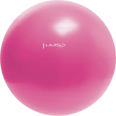 Produktbild von 55 cm rosa Gymnastikball - platzsicher, rutschfest