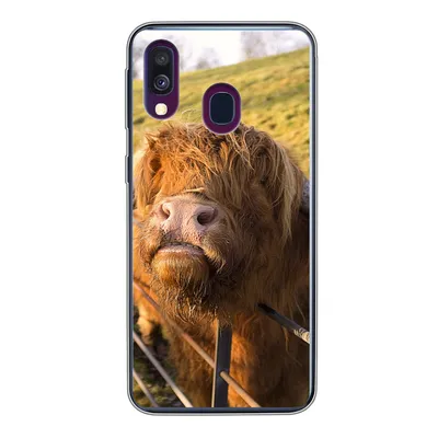 Produktbild von MuchoWow® Handyhülle Schutzhülle Hülle für Samsung Galaxy A40 Scottish Highlander - Zaun - Gras Silikon Softcase Handy Hülle - Handy-Tasche