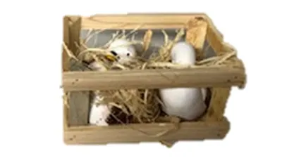 Produktbild von OSTERDEKO Gänse Familie + Holzkiste mit Stroh