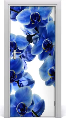 Produktbild von Tulup Türaufkleber 85x205 cm Dekorative Aufkleber Selbstklebend Wasserdichte Tapete Abnehmbar Schlafzimmer Wohnzimmer Wohnkultur - Orchidee Blumenaufkleber Wandaufkleber