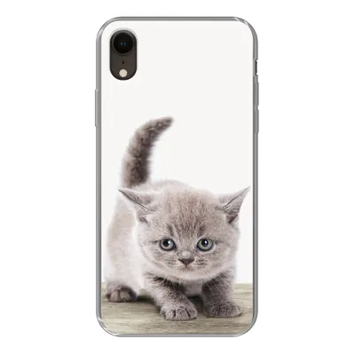 Produktbild von MuchoWow® Handyhülle Schutzhülle Hülle für iPhone XR Kätzchen - Katze - Haustiere - Jungen - Kinder - Mädchen Silikon Softcase Handy Hülle - Schutzdeckel