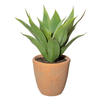 Produktbild von Kunstpflanze Agave Höhe: 40 cm grün
