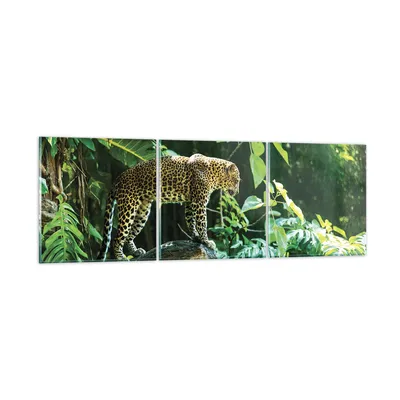 Produktbild von Bilder auf glas - 3 Teile - Dschungel Leopard Panther - 90x30cm - Glasbilder - Wandbilder - Bilder - zum Aufhängen bereit - Wanddekoration aus Glas - Glas Bilder - Wandbild auf Glas - GCA90x30-4502