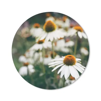Produktbild von MuchoWow® Mauspad Mousepad Blumen - Herbst - Botanisch 30x30 cm - Mousepads - Maus Mat - Pad - Mausunterlage - Tischunterlage - Schreibtischmatten