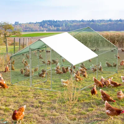 Produktbild von LARS360 3x4x2m voľný výbeh pre sliepky so zámkom, pozinkovaný oceľový rám, PVC potiahnutá strecha pre klietku pre kurčatá klietka pre hydinu klietka pre malé zvieratá