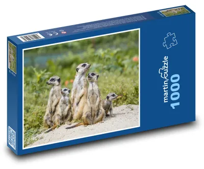 Produktbild von Puzzle 1000 Eine wachsame Surikatenbande - martinpuzzle