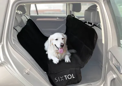Image de Couverture de protection pour voiture sous le chien CAR BEN SIXTOL