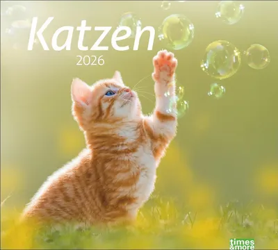 Produktbild von times&more Katzen Bildkalender 2026