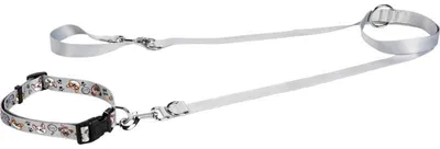 Produktbild von FIT+FUN Halsband-Leinen-Set mit mehrfach verstellbarer Leine und stufenlos verstellbarem Halsband, 2 m