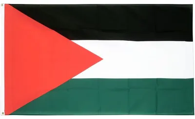 Produktbild von Flagge Palästinas, 152 x 91 cm, Polyester, mit 2 Ösen