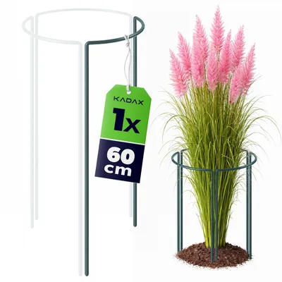 Produktbild von KADAX Staudenstütze 60 cm Höhe, 1 Stück, Pflanzenstütze aus pulverbeschichtetem Stahl, Hortensienstütze, Rankhilfe für Stauden, Strauchstütze (1/3 Rund)