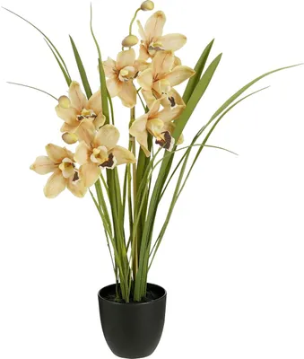 Produktbild von Mica Decorations Kunstpflanze Cymbidium im Topf pfirsich Ø 26 x 71 cm