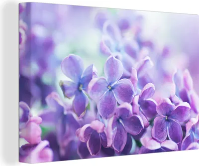 Obrázok produktu pre OneMillionCanvasses® - Výtlačky na plátne - 140x90 cm, detailný záber fialového šeříku, nástenná umelecká tlač, dekorácia na stenu
