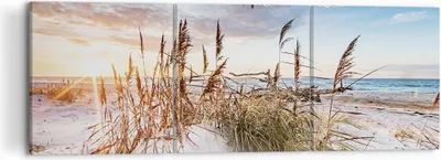 Produktbild von Bild auf Leinwand - Leinwandbild - 3 Teile - Möwe Meer Küste - 120x40cm - Wand Bild - Wanddeko - Wandbilder - Leinwanddruck - Bilder - Wanddekoration - Leinwand bilder - Wandbild - CA120x40-4902