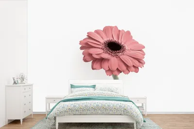 Produktbild von MuchoWow® Fototapete für Wohnzimmer oder Schlafzimmer Wandtapete Vinyl Motivtapete Blumen - Rosa - Natur - Weiß - Pflanze - 600x400 cm - Vinyltapeten