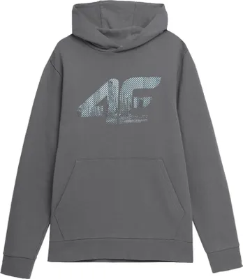 Produktbild von 4F Sweatshirts TSWSM233, 4FSS23TSWSM233SZARY, Größe: 176