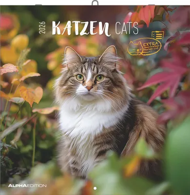 Produktbild von Katzen 2026 - Broschürenkalender 30x30 cm (30x60 geöffnet)