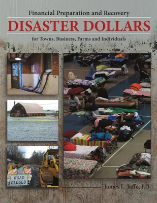 Produktbild von Disaster Dollars