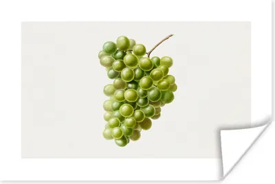 Produktbild von MuchoWow® Poster Lebensmittel - Weintrauben - Obst 60x40 cm - Schlafzimmerdekoration
