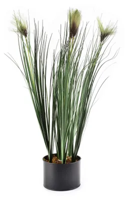 Image de Fleur artificielle GRASS 64 cm verte/marron