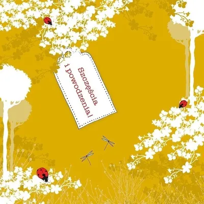 Image de Porte-monnaie carré Swarovski CL3401 « Bonheur et prospérité » - Clear Creations