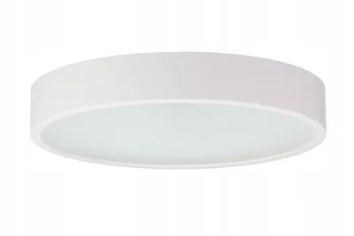 A white, round ceiling lamp with a frosted diffuser is shown against a white background.