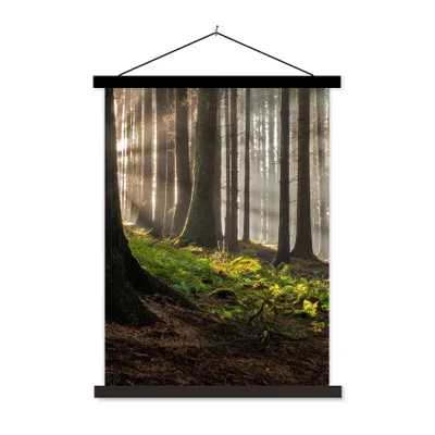 Produktbild von MuchoWow® Textilposter Sonne - Äste - Bäume - Wald - Natur 60x80 cm mit schwarzem Rahmen - Plakathalter