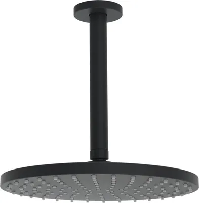 Obrázek produktu pro Hansa 4427020033 Sprchová hlavice, d 250 mm HANSAVIVA 4427