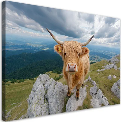 Produktbild von Leinwandbild Highland-Kuh Felsen Berge 100x70 Feeby Braun bild für die wand bereit zum aufhängen