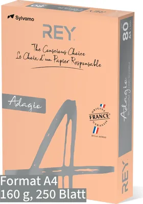 Produktbild von Kopier-Offset A4 KP4160 REYAdagio 160g lachs Pckg. a 250 Blatt