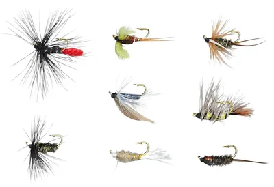 Produktbild von Balzer Edition Fly Nassfliegen-/Nymphensortiment - 8 Fliegen im Set
