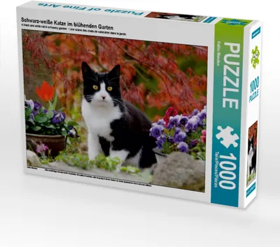 Produktbild von Calvendo Schwarz-weiße Katze im blühenden Garten 1000 Teile Puzzle quer 640x480mm, Menden Katho; 7396477
