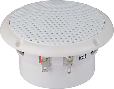 Immagine prodotto di FR 8 WP - 4 ohm (bianco) - Altoparlanti per il registro completo resistente all'acqua salata da 8 cm (3,3 ")
