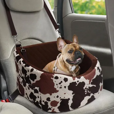 Produktbild von Hundesitz für kleine und mittelgroße Hunde im Auto