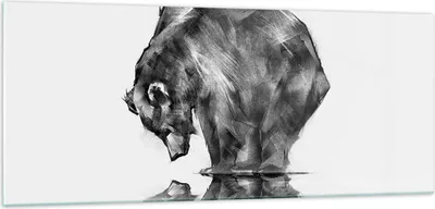 Produktbild von Bilder auf glas - Bär Tier - 100x40cm - Glasbilder - Wandbilder - Bilder - Kunstdruck - zum Aufhängen bereit - Wanddekoration aus Glas - Glas Bilder - Wandbild auf Glas - Einteilig - GAB100x40-3921