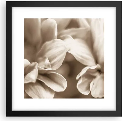 Produktbild von Gerahmtes Poster - Schwarzer Rahmen - Blumen Boho ohne - 30x30 cm - Wand Bild - Wanddeko - Wandbilder - Kunstposter - Wandposter - Bilderrahmen - Bilder - Kunstdruck - Wanddekoration - P2BAC30x30-4767
