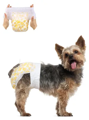 Image de Couches jetables pour chiens, adaptées aux mâles, boîte de 15