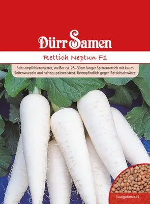Produktbild von Dürr-Samen - Rettich Neptun F1 - Saatgut - 1569